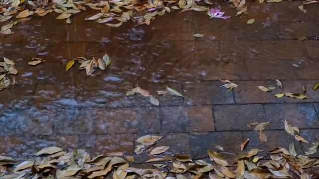 Rain Sounds For Sleeping - 99% Instantly Sleep - Relaxing