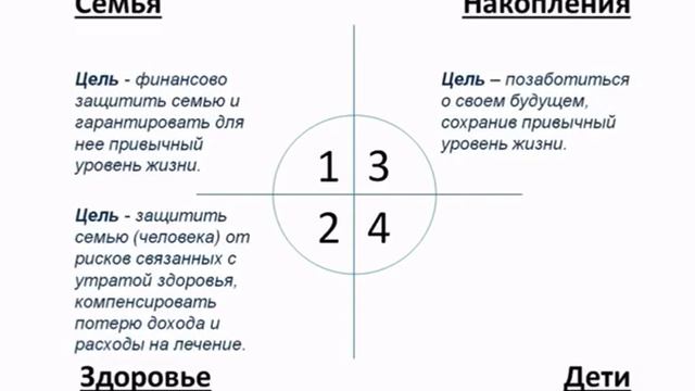 4 направления программ смотреть онлайн