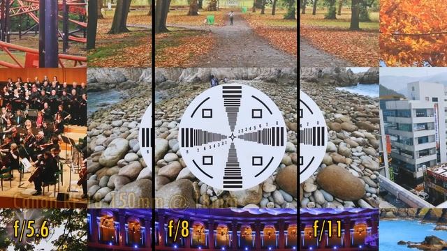 Canon EOS R7 Camera Review