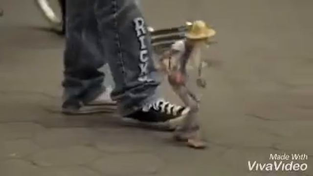 Песня Посмотри плиз.