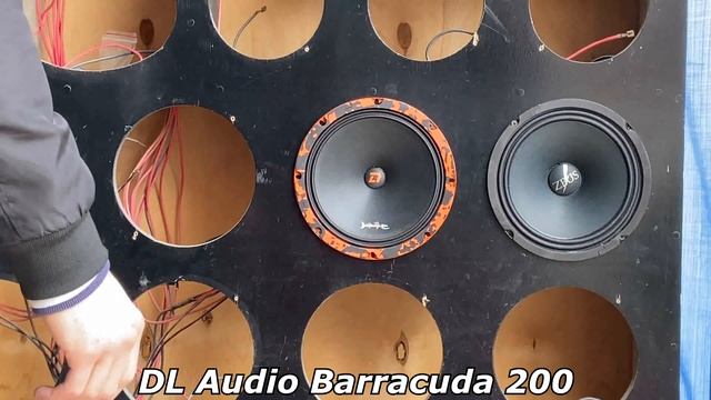 Лучшая панчевая бюджетная эстрадная 20ка DL Audio Barracuda 200 vs Zeus MR-8.1 смотреть онлайн