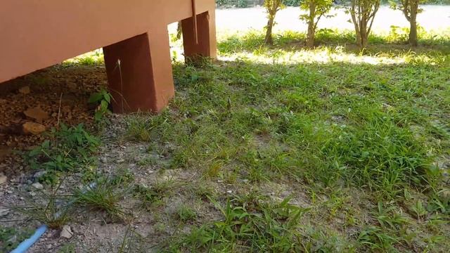 Новый год. Тайланд. смотреть онлайн