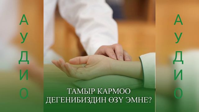 Кыргыз элдик медицина баяны/ Тамыр кармоо дегенибиздин өзү эмне? #кылтамырчы #пайдалуукенеш смотреть онлайн