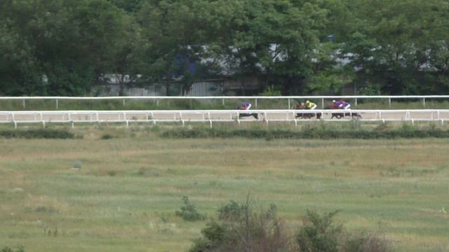 30.06.2019 - 9 Скачка на лошадях 2-х лет арабской породы - Патриот смотреть онлайн