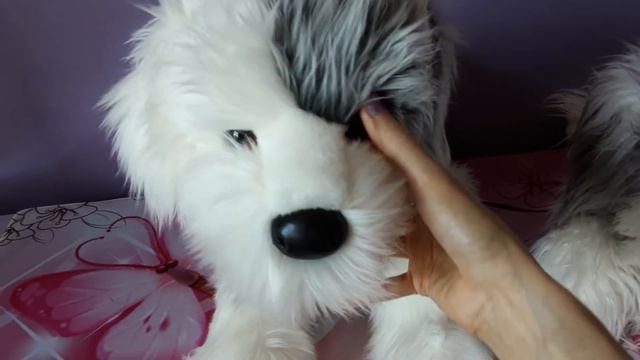 Unboxing Willard the Old English Sheepdog Plush by Douglas Cuddle Toys 💙🤍 смотреть онлайн