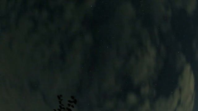 Ночное лето 22 смотреть онлайн