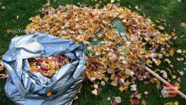 СТОЙ! НЕ СЖИГАЙ ЦЕННЕЙШЕЕ ОРГАНИЧЕСКОЕ УДОБРЕНИЕ,ДА ЕЩЕ И БЕСПЛАТНОЕ! ПРИМЕНЕНИЕ ОПАВШИХ ЛИСТЬЕВ смотреть онлайн