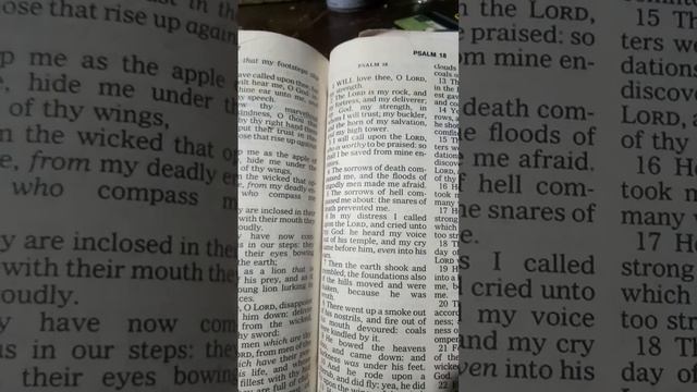 Psalm 18:3 English, Cebuano, Ilocano, Espanolebruary 2,, 2023 ThursdayVictory Church Sun Valley смотреть онлайн