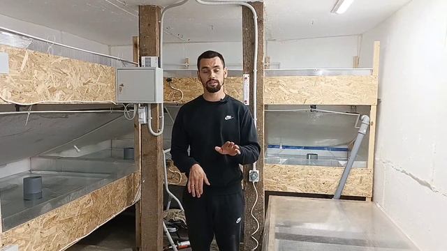 Запуск УЗВ. набор воды в биофильтр. УЗВ своими руками для АККР смотреть онлайн