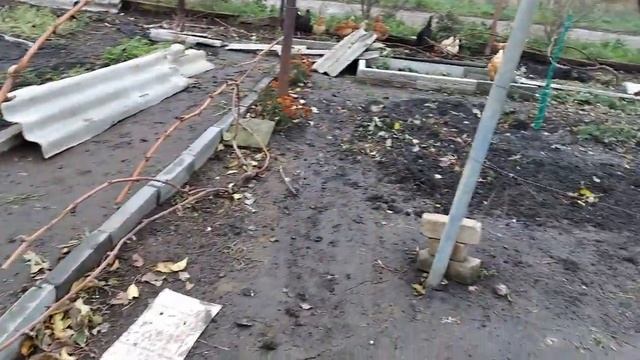 Березовый деготь/ Спасаю виноград от мышей / Укрытие винограда/Saving grapes from mice смотреть онлайн