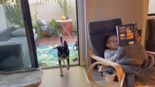 Кузина прививка / Дела домашние смотреть онлайн