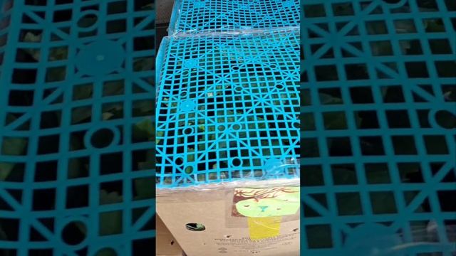 Отправляю ОКС,регионы разные,считаю что за осенний и мой первый сезон,у меня шикарная география.