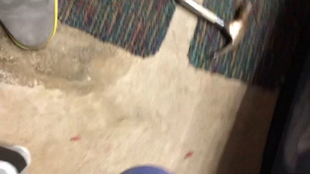 Change Into Cole Haan Shoes & Gather Remains Of My Dockers Dress Shoes & Nike Air Max Tennis Shoes смотреть онлайн