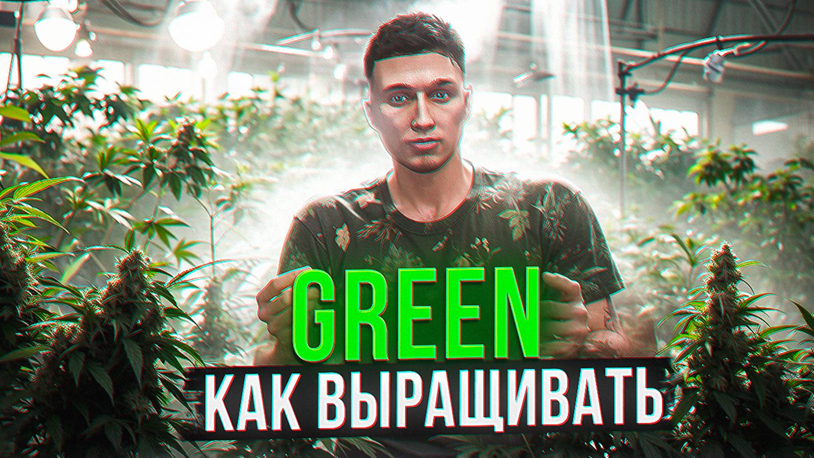 КАК ВЫРАЩИВАТЬ ГРИН НА ГТА 5 РП МАДЖЕСТИК | ЛУЧШИЙ ЗАРАБОТОК НА ФЕРМЕ | GTA 5 RP MAJESTIC смотреть онлайн