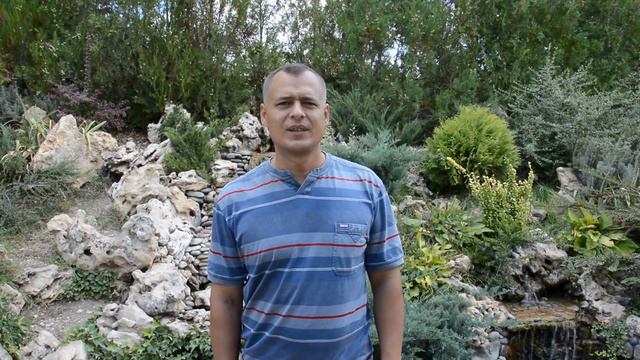 За здоровьем в "Тайган" смотреть онлайн