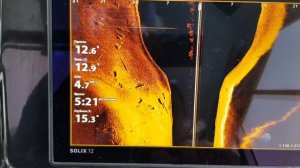 Эхолот Humminbird SOLIX 12 
Поразил детализацией