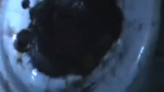 Только черному коту и не везёт! смотреть онлайн