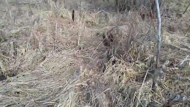 Немецкая каска смотреть онлайн