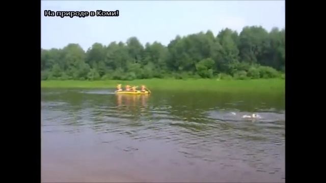 У реки Нившера (6 часть) смотреть онлайн