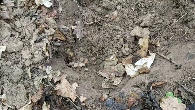 Вітряний день. смотреть онлайн