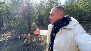 МУЖИК ПОДСТРЕЛИЛ ХАСКИ / опасная прогулка собаки в лесу