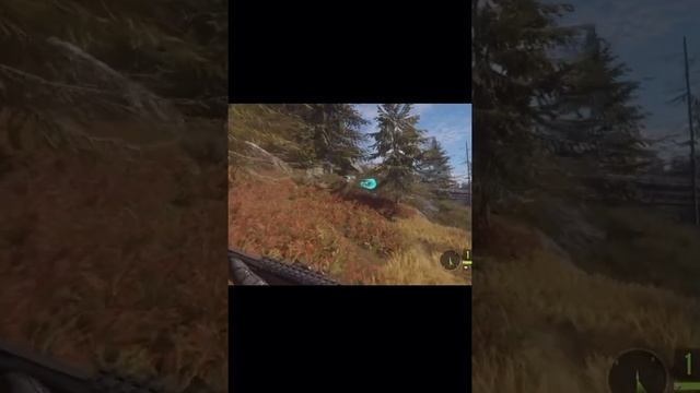 Stumbled on a black bear in theHunter on PlayStation 5 #thehunter #hunter #game смотреть онлайн