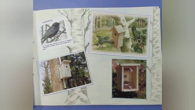 День птиц в подготовительной группе №1 60 А смотреть онлайн