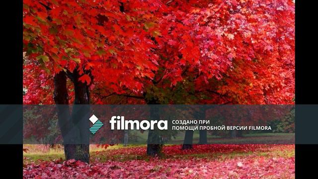 Relaxing russian autumn/ Русская осень. смотреть онлайн
