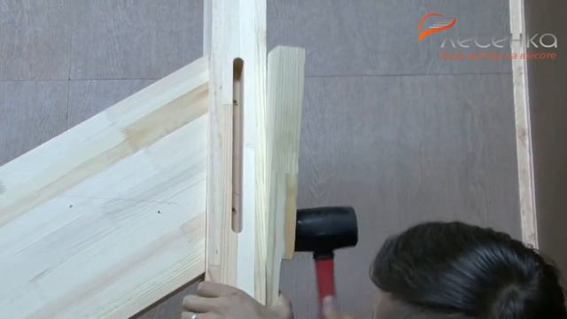 Сборка ДЛС-1