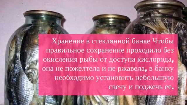 Простые решения для сохранения вяленой и сушёной рыбы в домашних условиях смотреть онлайн