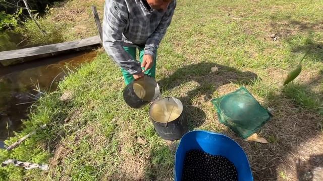AS RIBEIRINHAS COM TATIANA SOUZA/OBRIGADA SEU RAIMUNDO/COMUNIDADE RIBEIRINHA SANTA LUZIA DO CATUIRI