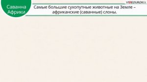 Где живут слоны