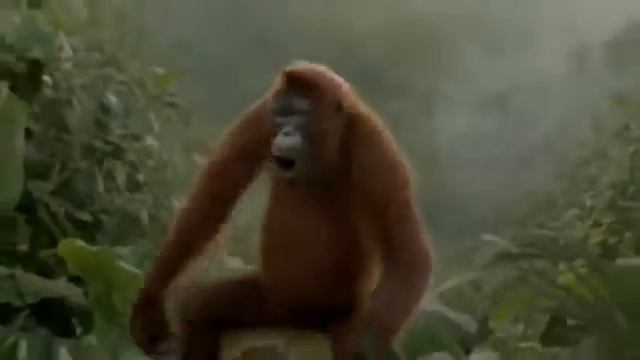 29 ноября 2016 г. смотреть онлайн