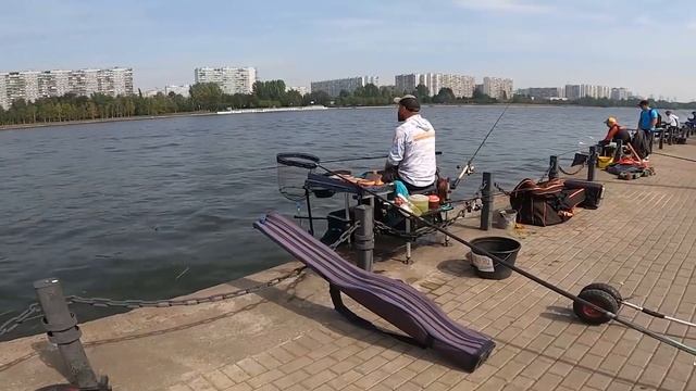 Фидерные соревнования ЛФЛ и ЛФЛ + #братеево #фидер #соревнования смотреть онлайн