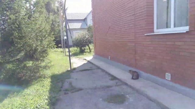 2часть ДАНЮ ЗАХВАТИЛ ДУХ ШОООК!!! смотреть онлайн