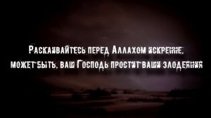 Омар Хишам (Omar Hisham). Сура  ат-Тахрим  (6-8). HD