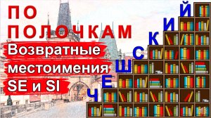 Чешский язык: возвратные местоимения SE и SI