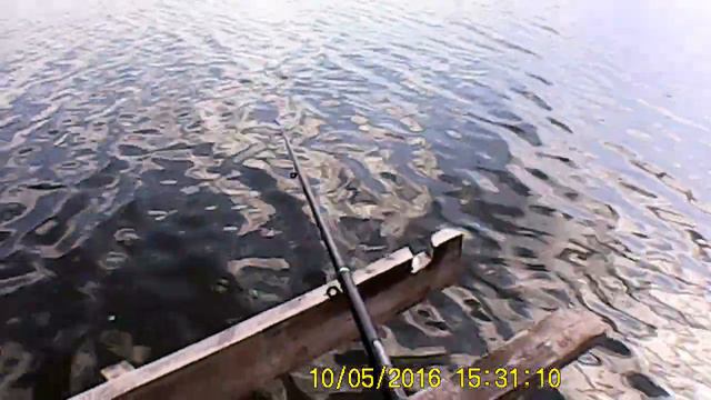 Рыбалка в Старобельске смотреть онлайн