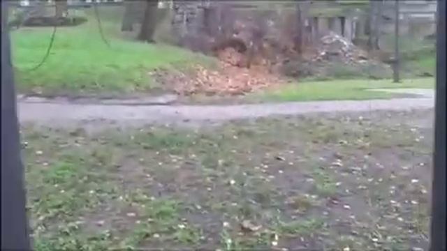 ###Музей# Польского# войска# смотреть онлайн