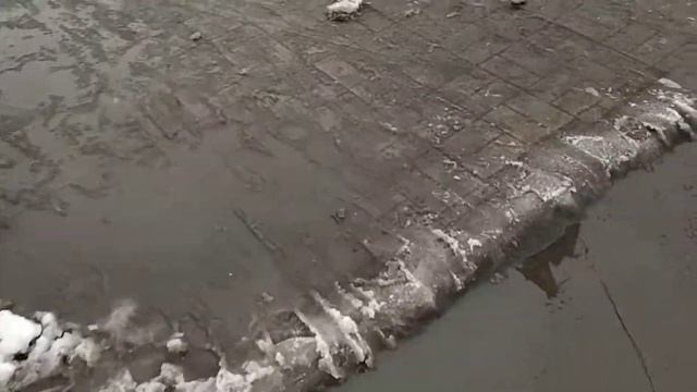 Евроопт смотреть онлайн