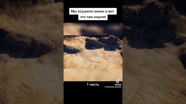 12-11-2023 смотреть онлайн