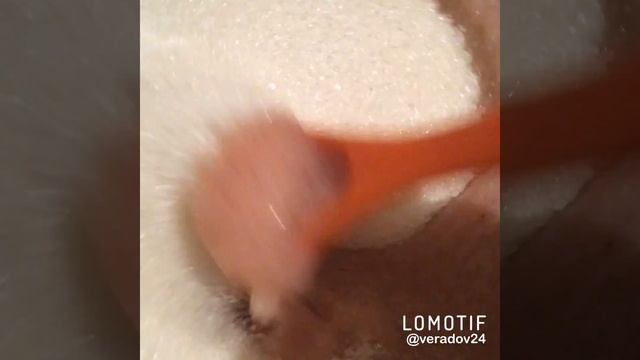 Компьютерные Игры и Летсплеи