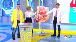 Простатит: лечить обязательно! Жить здорово! Фрагмент выпуска от 07.02.2019