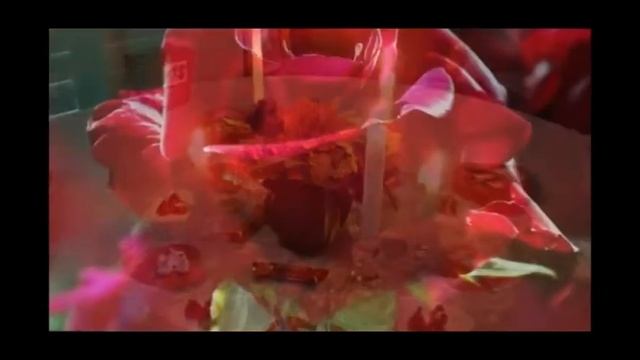 с Днём Рождения Анечка! смотреть онлайн