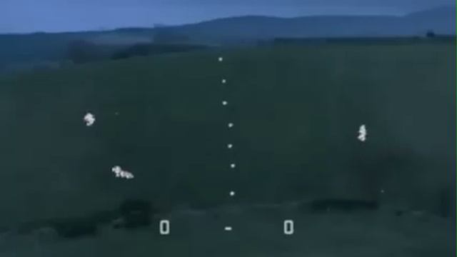 Extreme Sheep Herding - With Lights!