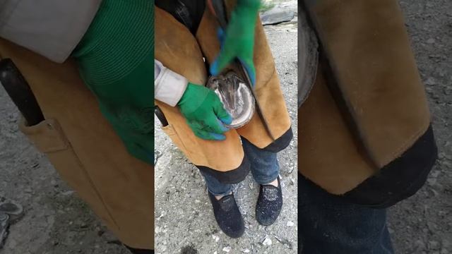 подковка лошади смотреть онлайн