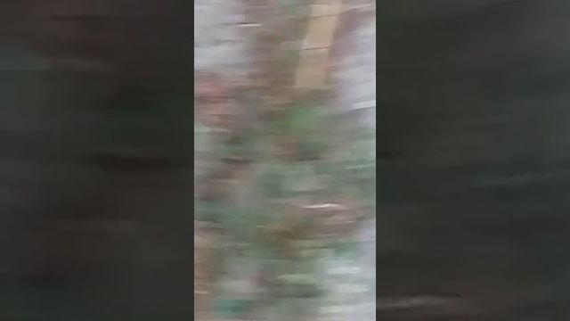 Лалалвовофбоазвжяшоаьвобв смотреть онлайн
