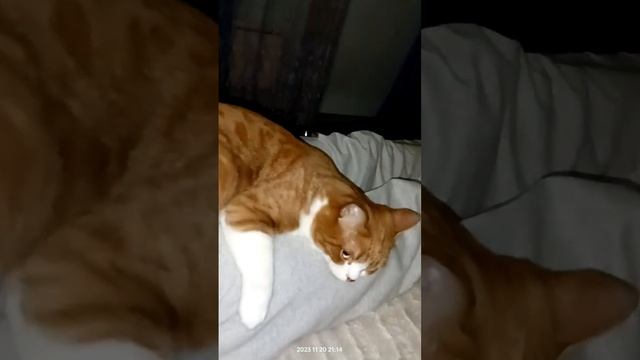 Ну что для счастья надо? смотреть онлайн
