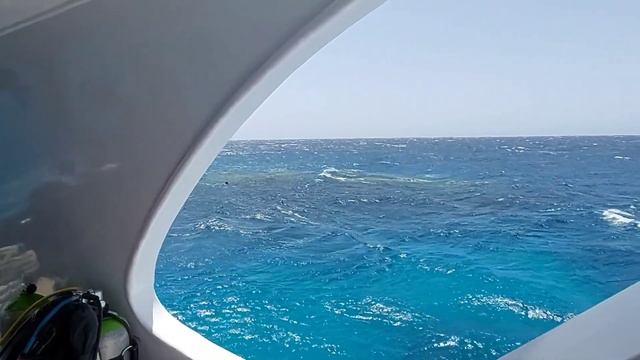 Египет. Шарм эль Шейх. Апрель 2021 год.Экскурсия на Белый остров."Египетские Мальдивы ". смотреть онлайн