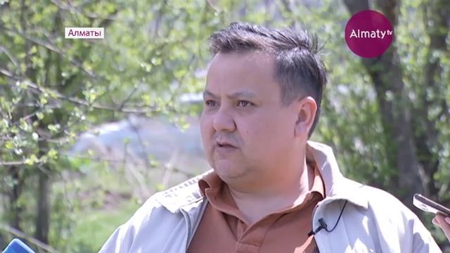Около Алматы до конца года намерены посадить 35 000 яблонь нового вида апорта (27. 04.17) смотреть онлайн